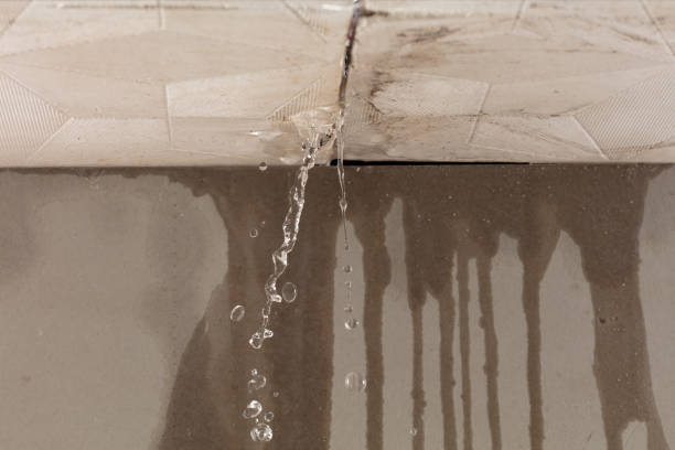 Professional Water Damage Repair technician working in Marne, MI